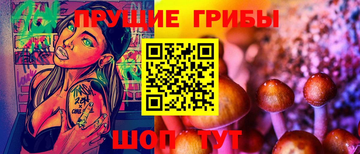 где купить наркотик  Вход с VPN  Чайковский  Галлюциногенные грибы Magic Shrooms  Псилоцибиновые грибы Psilocybine cubensis 